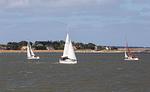 Strandlust 21B Appartement - Top-Hundeurlaub