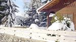 Ferienhaus für 4 Personen (43 m²) in Vigaun - Top-Hundeurlaub