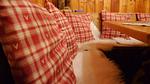 Ferienhaus für 4 Personen (43 m²) in Vigaun - Top-Hundeurlaub