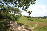 Landschaft - FeWo Maja 36: Wintergarten - Top-Hundeurlaub