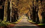 Landschaft - FeWo Maja 36: Wintergarten - Top-Hundeurlaub