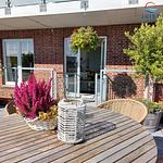 Terrasse - 107 - Wohnung Schöne Juisterin - Top-Hundeurlaub