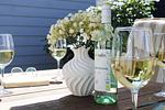Ferienhaus am Ringwall 19 - Top-Hundeurlaub