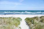Strand - FeWo 01: Terrasse - Top-Hundeurlaub