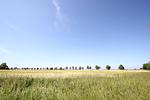 Landschaft - Haus: Terrasse,Garten,Meerblick - Top-Hundeurlaub
