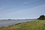 Landschaft - Haus: Terrasse,Garten,Meerblick - Top-Hundeurlaub