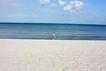 Strand - Haus: strandnah,Terrasse,Sauna - Top-Hundeurlaub