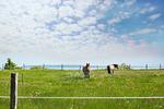 Landschaft - FeWo 02: Terrasse, Gartennutzung, Saunanutzung - Top-Hundeurlaub