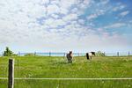 Landschaft - FeWo 03: Balkon, Gartennutzung, Saunanutzung - Top-Hundeurlaub