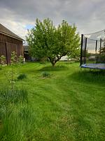 Ferienhof Höhensonne - Urlaub mit Hund mitten in der Sächsischen Schweiz - Top-Hundeurlaub