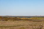 Ocean View - Top-Hundeurlaub