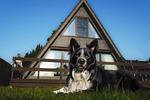 Ferienhaus Küstenkind an der Nordsee - Top-Hundeurlaub