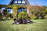 Ferienhaus Küstenkind an der Nordsee - Top-Hundeurlaub