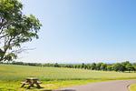 Landschaft - FeWo403: Balkon, Meerblick - Top-Hundeurlaub