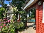 Garten - Ola Maika’i - Das gute Leben am See - Top-Hundeurlaub