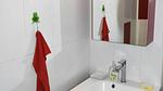 BathRoom - Ferienwohnung für 7 Personen (40 m²) in Leucate - Top-Hundeurlaub