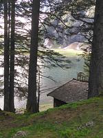 Appartement Schlosser  - Top-Hundeurlaub