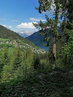 Appartement Schlosser  - Top-Hundeurlaub