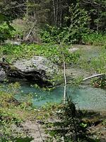 Appartement Schlosser  - Top-Hundeurlaub