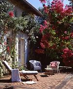 Landhaus Font Losse - Top-Hundeurlaub