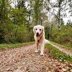 Ferienwohnung Emmi - Top-Hundeurlaub