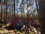 Gemütliche Finnhütte für Erholung und romantische Waldspaziergänge - Ja - Top-Hundeurlaub