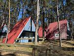 Wald und Meer verbinden – charmante Finnhütte unweit der Ostsee - Oskar - Top-Hundeurlaub