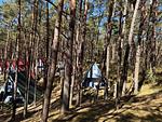 Finnhütte mit Kiefernblick – ein Ort für friedliche Urlaubsmomente - Max - Top-Hundeurlaub