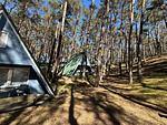 Finnhütte im Kiefernwald – Ruhe und Natur pur für entspannte Tage - Mica - Top-Hundeurlaub