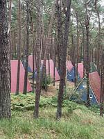 Finnhütte im Herzen der Natur – Erholung zwischen Wald und Meer - Heinrich - Top-Hundeurlaub