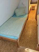 Finnhütte im Herzen der Natur – Erholung zwischen Wald und Meer - Heinrich - Top-Hundeurlaub