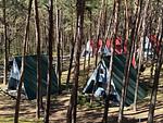 Naturerlebnis direkt vor der Tür – gemütliche Finnhütte am Waldrand - Ida - Top-Hundeurlaub