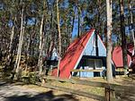 Finnhütte mit Flair – Ruhe, Waldspaziergänge und Strandnähe - Ole - Top-Hundeurlaub