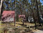 Kleine Finnhütte für große Entspannung – mitten im Usedomer Wald - Frieda - Top-Hundeurlaub