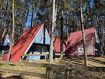 Urlaub im Grünen – Finnhütte versteckt zwischen Bäumen und Dünen - Carla - Top-Hundeurlaub