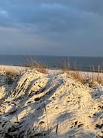 Ferienglück im Doppelhaus - 60 m zum Strand (Haus 4) - Top-Hundeurlaub