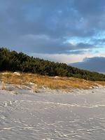 Ferienglück im Doppelhaus - 60 m zum Strand (Haus 4) - Top-Hundeurlaub
