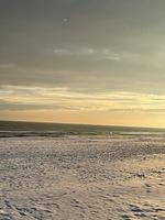 Ferienglück im Doppelhaus - 60 m zum Strand (Haus 4) - Top-Hundeurlaub