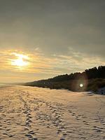 Ferienglück im Doppelhaus - 60 m zum Strand (Haus 4) - Top-Hundeurlaub