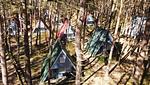 Waldlicht und Dünenzauber – charmante Finnhütte für Genießer - Mats - Top-Hundeurlaub
