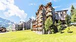 ExteriorSummer - Ferienwohnung für 6 Personen (22 m²) in Avoriaz - Top-Hundeurlaub