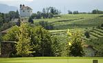 Weingut Moser - Top-Hundeurlaub