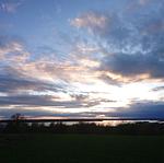 Gartenblick vom Ferienhaus Hus Rusken in der Natur von Småland - Hus Rusken - Top-Hundeurlaub