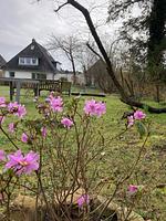 Ferienhaus Heidelodge - Top-Hundeurlaub