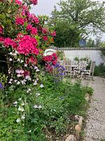 Ferienhaus Heidelodge - Top-Hundeurlaub