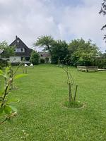 Ferienhaus Heidelodge - Top-Hundeurlaub