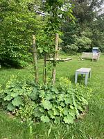 Ferienhaus Heidelodge - Top-Hundeurlaub