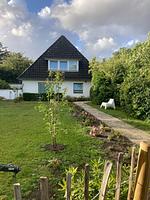 Ferienhaus Heidelodge - Top-Hundeurlaub