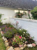 Ferienhaus Heidelodge - Top-Hundeurlaub