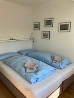 Ferienhaus Heidelodge - Top-Hundeurlaub